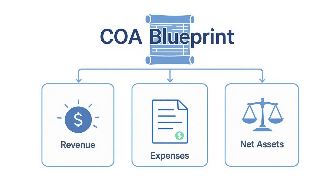 Infographic about chart of accounts for nonprofits