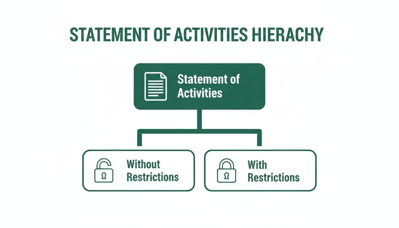 Hierarchy of Statement of Activities, categorized into Without Restrictions and With Restrictions.