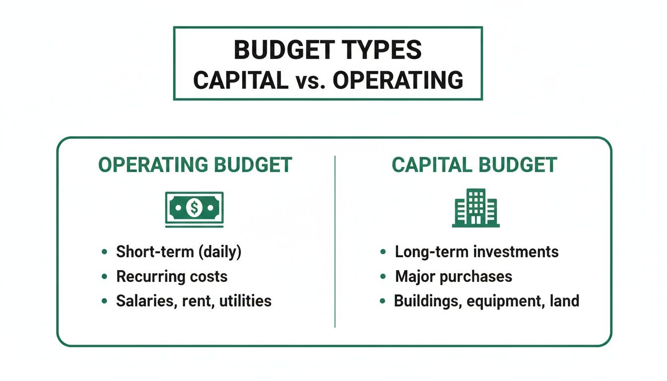 A comparison chart illustrating the differences between operating and capital budget types.