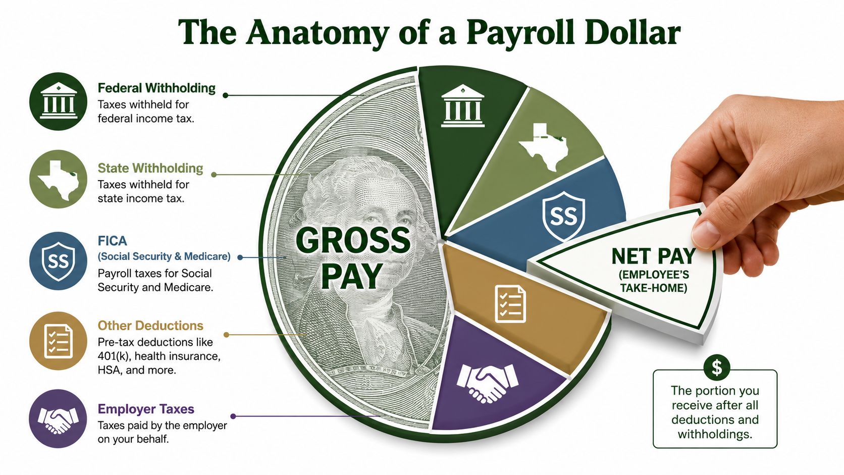 A pie chart infographic titled The Anatomy of a Payroll Dollar showing how gross pay is divided.