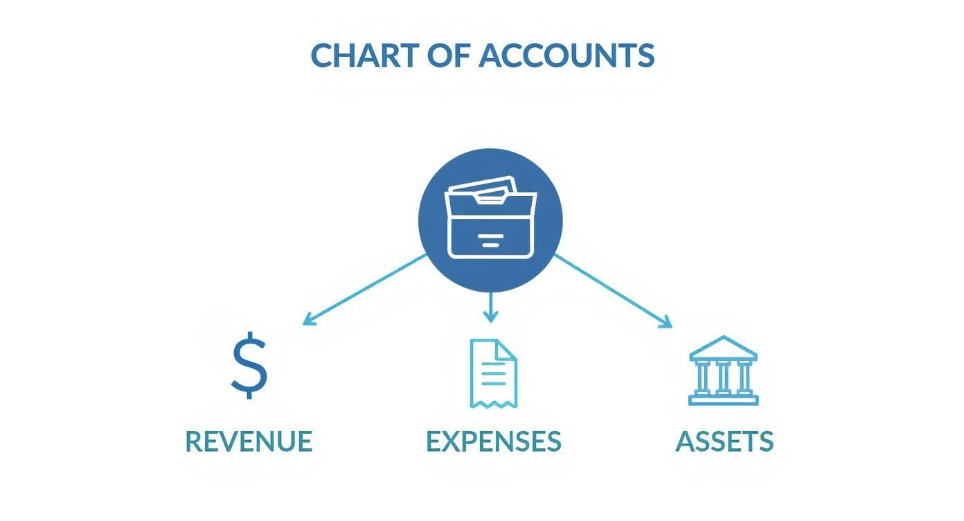 Infographic about chart of accounts for nonprofit