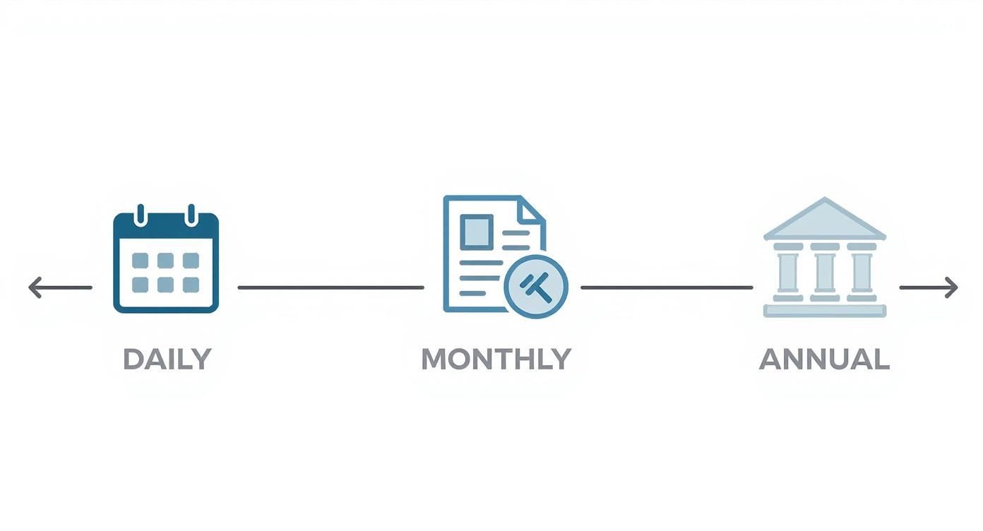 Infographic about role treasurer non profit organization