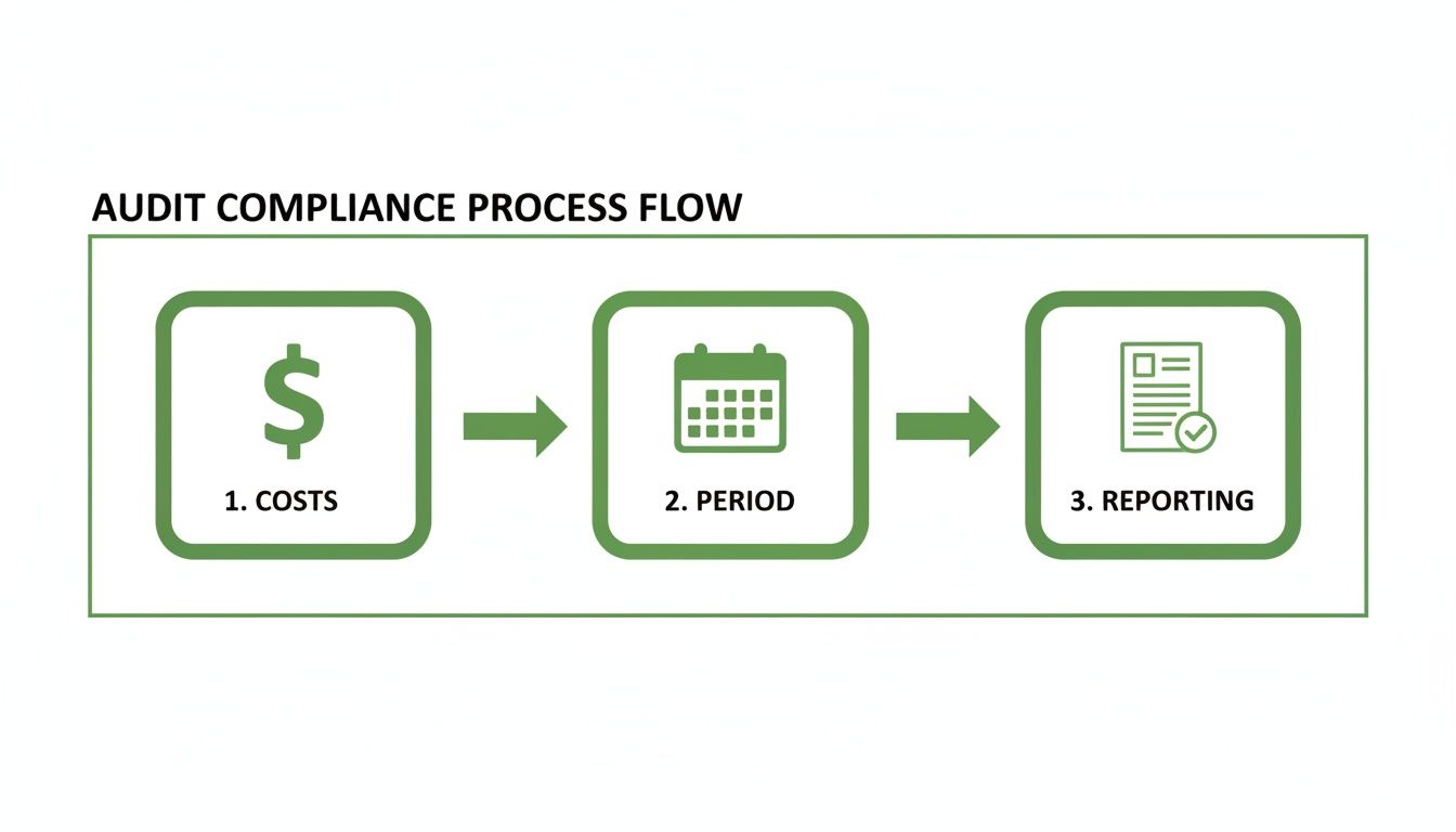 A green diagram illustrating an audit compliance process flow with three steps: costs, period, and reporting.